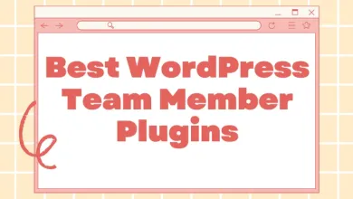 Best 5 WordPress Team Member Plugins You Need